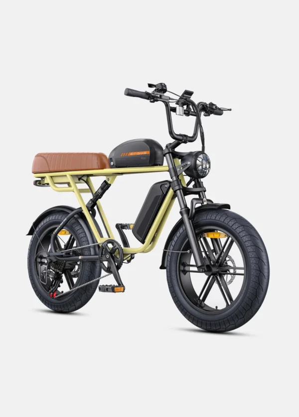 ENGWE M1 Electric Bike - Version International